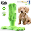 Toothbrush Chew