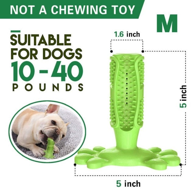 Toothbrush Chew