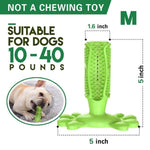 Toothbrush Chew