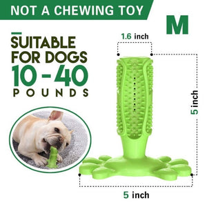 Toothbrush Chew