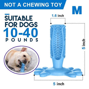 Toothbrush Chew
