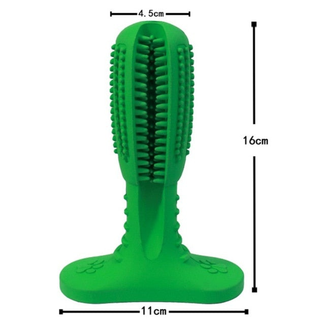 Toothbrush Chew