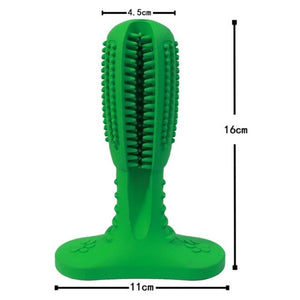 Toothbrush Chew