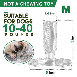 Toothbrush Chew