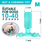 Toothbrush Chew