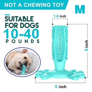 Toothbrush Chew