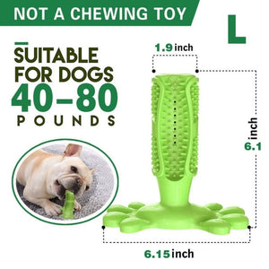 Toothbrush Chew