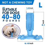 Toothbrush Chew
