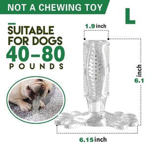 Toothbrush Chew