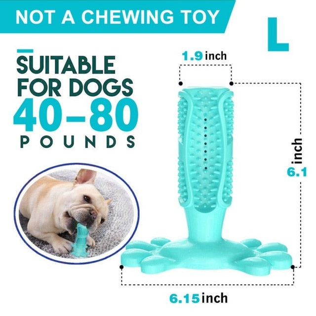 Toothbrush Chew