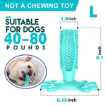 Toothbrush Chew