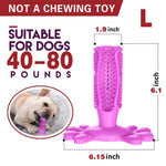 Toothbrush Chew